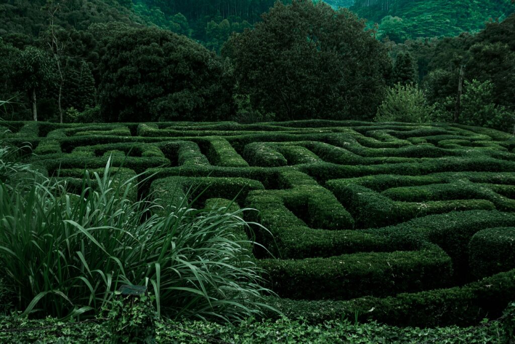 Explore the intricate green hedge maze in Campos do Jordão, Brazil's vibrant landscape.